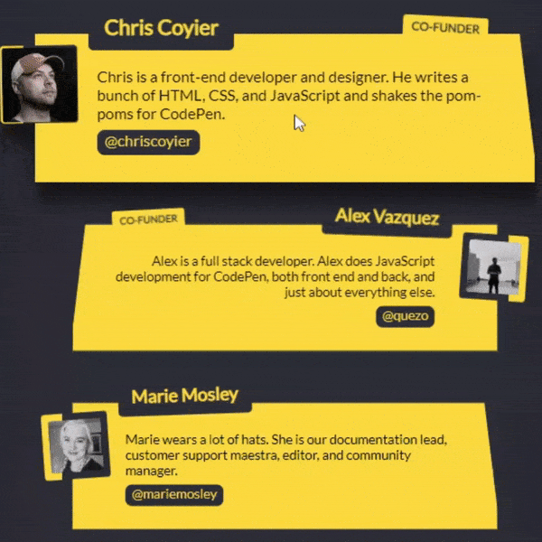 innovative and stylish create a codepen team member list with html css.gif